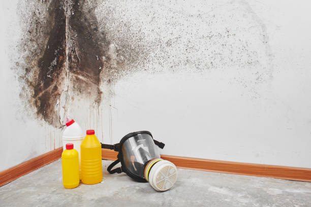 Pantops, VA Mold Removal Company