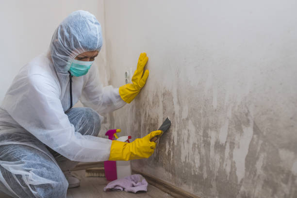 Best Office Mold Removal Services  in Pantops, VA